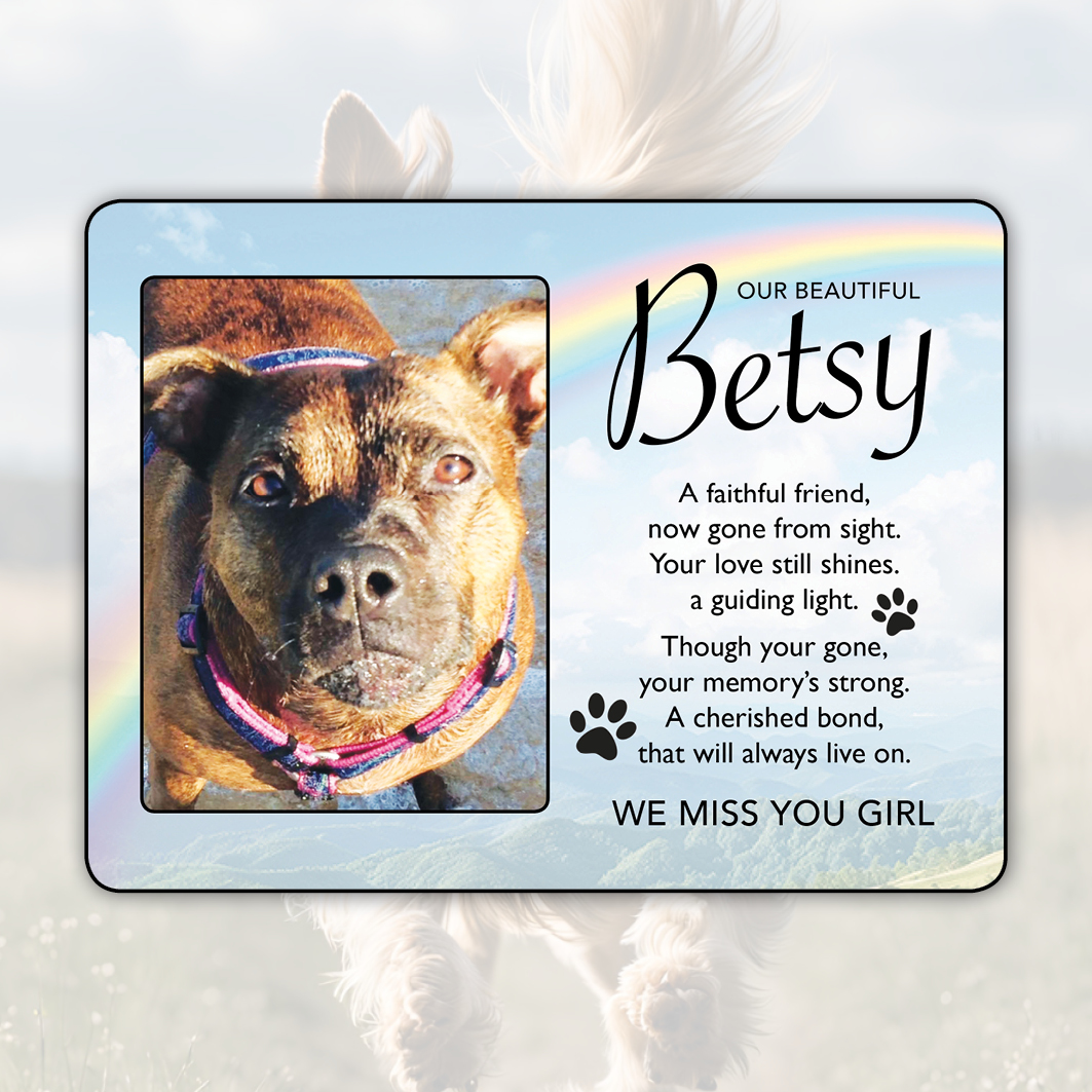 Memorial plaque for a Staffordshire Bull Terrier named Betsy, featuring a rainbow background, a photo of Betsy, and a heartfelt poem. The plaque includes paw prints and is designed as a tribute. Created by Orchid Memories