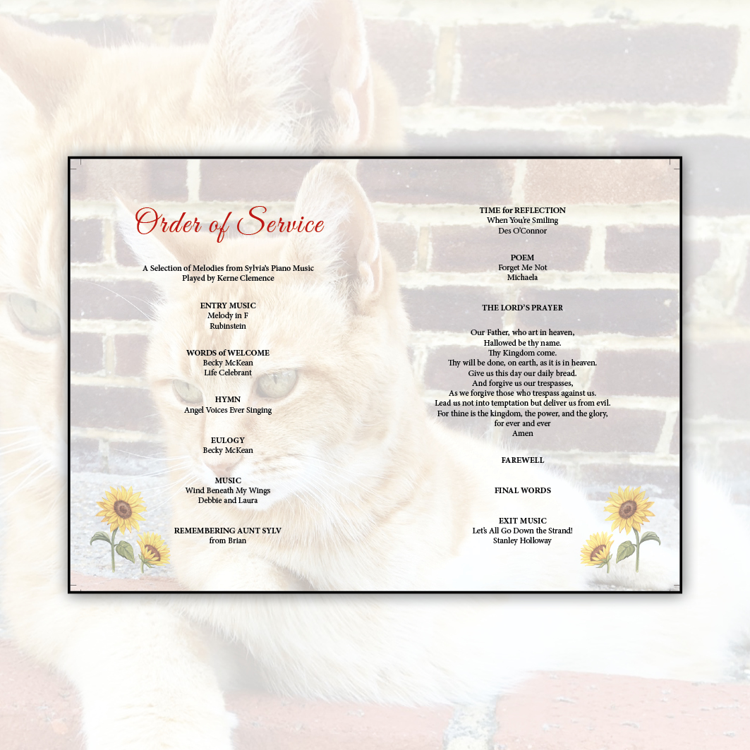 Softly faded image of an elderly lady's beloved ginger cat, symbolising their special bond, used as a gentle background on her funeral order of service. The cat's presence adds a heartfelt, personal touch, symbolising the connection between them, even after passing. Created by Orchid Memories